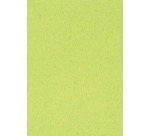 Buntes Zeichenpapier, 120 g, Größe 21 x 29,7, A4, hellgrün, Paket mit 500 Blatt