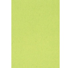 Gekleurd tekenpapier, 120 g, ft 21 x 29,7, A4, lichtgroen, pak van 500 vel
