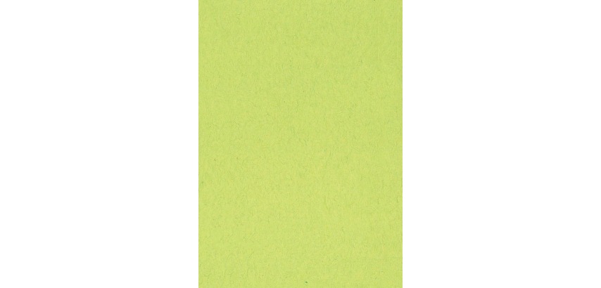 Buntes Zeichenpapier, 120 g, Größe 21 x 29,7, A4, hellgrün, Paket mit 500 Blatt