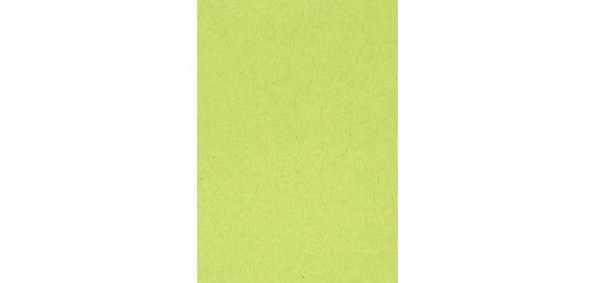 Buntes Zeichenpapier, 120 g, Größe 21 x 29,7, A4, hellgrün, Paket mit 500 Blatt