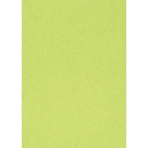 Papier à dessin coloré vert clair