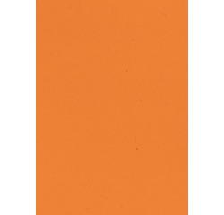 Gekleurd tekenpapier, 120 g, ft 21 x 29,7, A4, oranje, pak van 500 vel