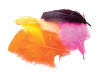 Bouhon pluimen 4 cm, 120 stuks