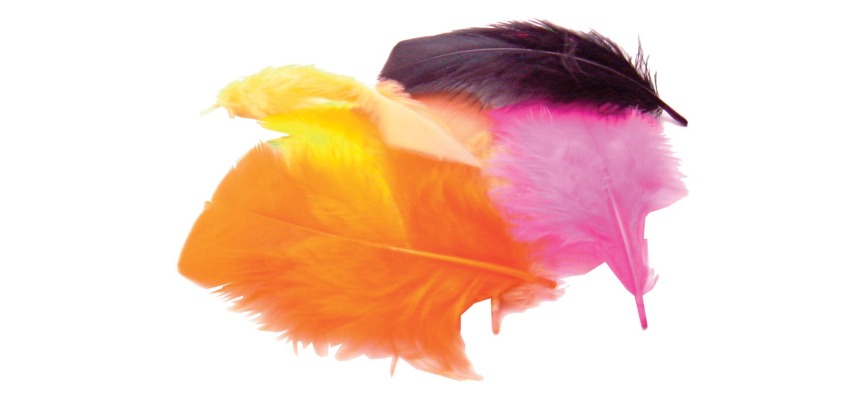 Bouhon feathers 4 cm, 120 pieces