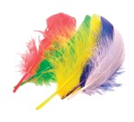 Bouhon plumes 15 cm, 50 pièces