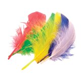 EN_50 PLUMES 15 CM (VERT, ROU, BL