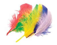 EN_50 PLUMES 15 CM (VERT, ROU, BL