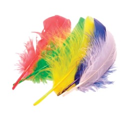 Bouhon plumes 15 cm, 50 pièces