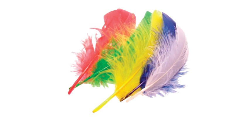 Bouhon plumes 15 cm, 50 pièces