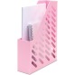 Rose pastel
