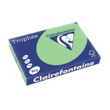 Clairefontaine Trophée Pastel, papier couleur, A3, 80 g, 500 feuilles, vert nature