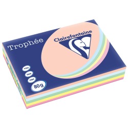 EN_TROPHEE ASSORT A3 80G 500F