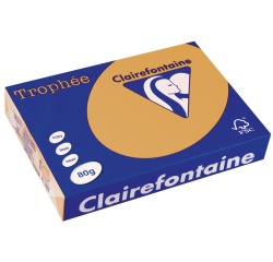 Clairefontaine Trophée papier couleur, A4, 80 g, 500 feuilles, caramel