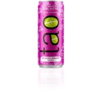 Tao Botanic Schwarze Johannisbeere, 25 cl Dose, Packung mit 24 Stück