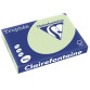 Clairefontaine Trophée Pastel, papier couleur, A3, 80 g, 500 feuilles, vert golf