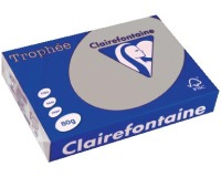 Clairefontaine Trophée gekleurd papier, A4, 80 g, 500 vel, lichtgrijs