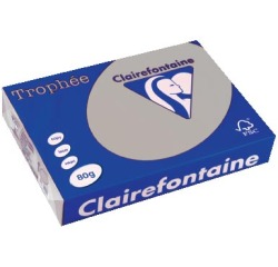 Clairefontaine Trophée papier couleur, A4, 80 g, 500 feuilles, gris clair