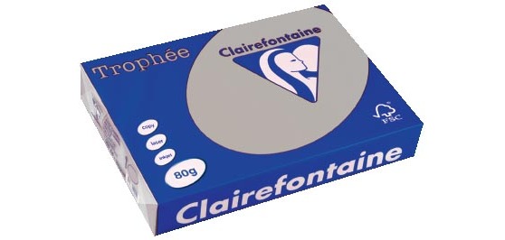 Clairefontaine Trophée gekleurd papier, A4, 80 g, 500 vel, lichtgrijs