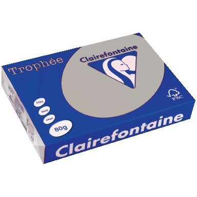 Clairefontaine Trophée papier couleur, A4, 80 g, 500 feuilles, gris clair