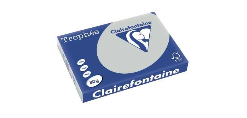 Clairefontaine Trophée Pastel, colored paper, A3, 80 g, 500 sheets, light gray