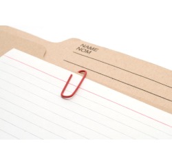 Gallery fiches 175 g/m², ft 12,5 x 20 cm, blanc