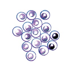 Bouhon yeux mobiles 10 mm