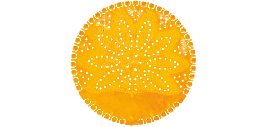 VividAir urinoirmat, Summer Fruits, oranje, doos van 12 stuks