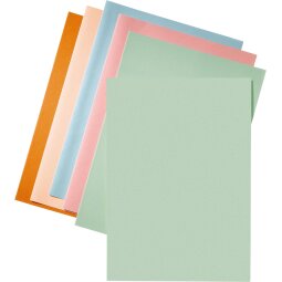 Esselte dossiermap groen, papier van 80 g/m², pak van 250 stuks