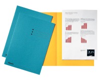 Printed folder 180 g Esselte 22 x 31,5 cm - Pack of 100