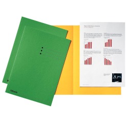 EN_PAQ.100XCHEMISE VERT 180G. A4