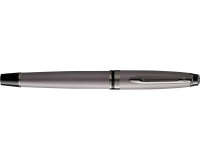 Stylo plume Waterman Expert Metallic Silver RT Medium