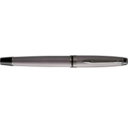 Stylo plume Waterman Expert Metallic Silver RT Medium