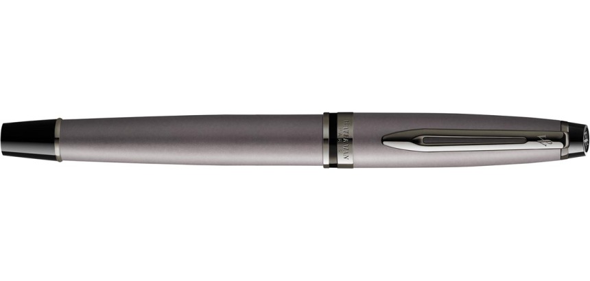 Waterman Expert Metallic Silver RT Medium Fountain Pen