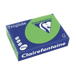 Clairefontaine Trophée Intens, papier couleur, A4, 210 g, 250 feuilles, vert menthe