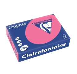 EN_TROPHEE FUCHSIA A4 210GR 250F