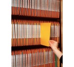 Esselte dossiers suspendus pour armoires Visicontr fond en V