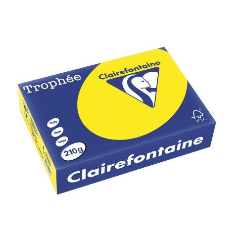 Clairefontaine Trophée Intens, papier couleur, A4, 210 g, 250 feuilles, jaune soleil