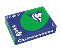 Clairefontaine Trophée Intens, gekleurd papier, A4, 210 g, 250 vel, bijartgroen