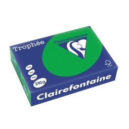 Clairefontaine Trophée Intens, papier couleur, A4, 210 g, 250 feuilles, vert billard