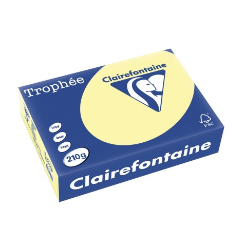 Clairefontaine Trophée Pastel, papier couleur, A4, 210 g, 250 feuilles, jaune canari