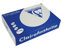 Clairefontaine Trophée Pastel, papier couleur, A4, 210 g, 250 feuilles, gris clair