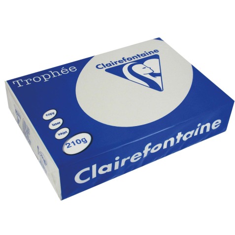 Clairefontaine Trophée Pastel, papier couleur, A4, 210 g, 250 feuilles, gris clair