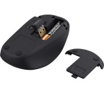Trust souris sans fil TM-201, noir