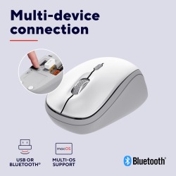 Trust YVI+ souris sans fil, multi-appareil, blanc