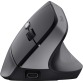 Trust Bayo II souris ergonomique sans fil, pour droitiers