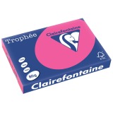 En_trophee rose fluo a3 80gr 500f