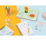 Bic 4-Color Kawai Ballpoint Pen, box of 12 pieces, assorted