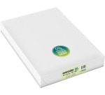 Clairefontaine Evercolor papier couleur recyclé, A3, 80g, 500 feuilles, vert clair