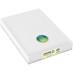 Clairefontaine Evercolor papier couleur recyclé, A3, 80g, 500 feuilles, jaune