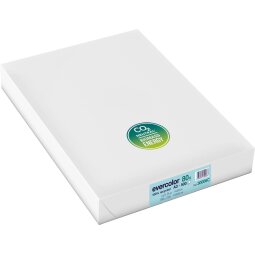 Clairefontaine Evercolor papier couleur recyclé, A3, 80g, 500 feuilles, bleu vif